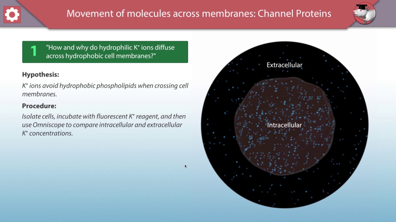 Gluose Module Glucose Module Montage - YouTube