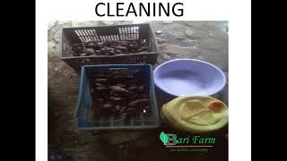snail slime extraction 0707376282