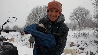 ÇETİN KARDA YENİ DOĞUM..(BÖYLE KAR DAHA ÖNCE GÖRMEDİMM)..