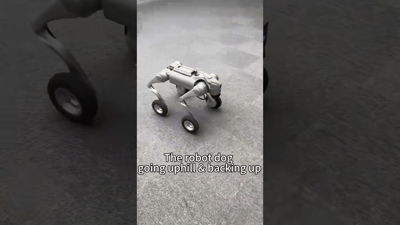 The robot dog（Unitree Go2-W）climbing up the slope and moving backward！ 