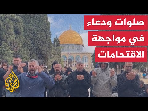 شاهد| مصلون يرابطون عند باحات المسجد الأقصى خلال اقتحامات المستوطنين