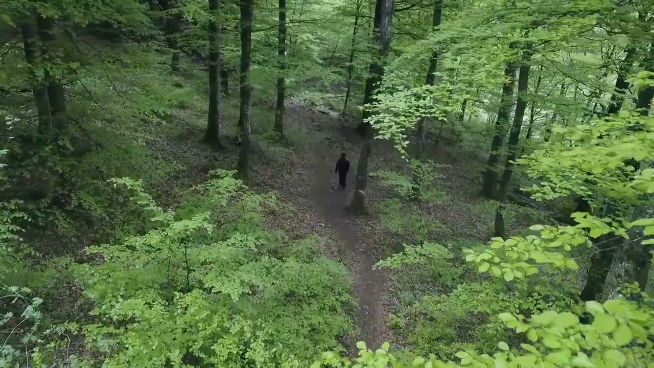 Välkommen till Marks kommun!