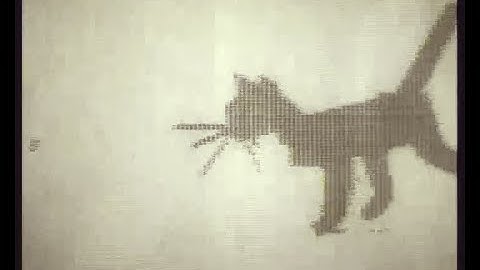 Kitty (1968) - First realistic computer animated character