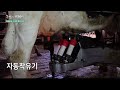 미래농업 스마트팜 네델란드 낙농농가 자동착유 푸셔로봇 미래농업 스마트팜 네델란드 낙농농가 자동착유 푸셔로봇