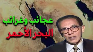 عجائب وغرائب لا تعرفها عن البحر الأحمر د/ مصطفى محمود
