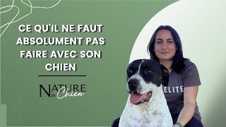 Les attitudes à éviter avec votre chien !