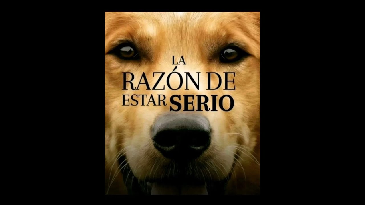 VIDEO DEL AÑO 2025!!