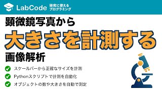 【画像解析入門 #6】スケールバーで正確なサイズ計測！Pythonによる画像解析の自動化入門