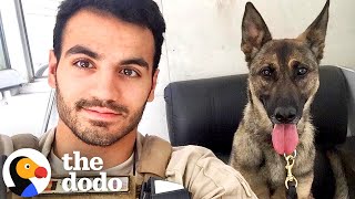Army Vet Adopts Both Of His Bomb Sniffing Dogs | The Dodo