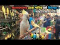 ঢাকার সবচেয়ে বড় পাখির বাজার | Mirpur 1 Pets Market | Birds Market