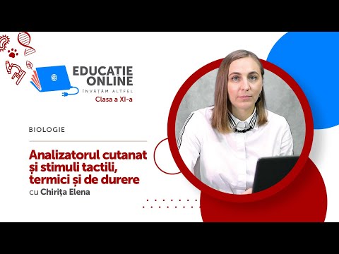 Biologie, Clasa a XI-a, Analizatorul cutanat și stimuli tactili, termici și de durere