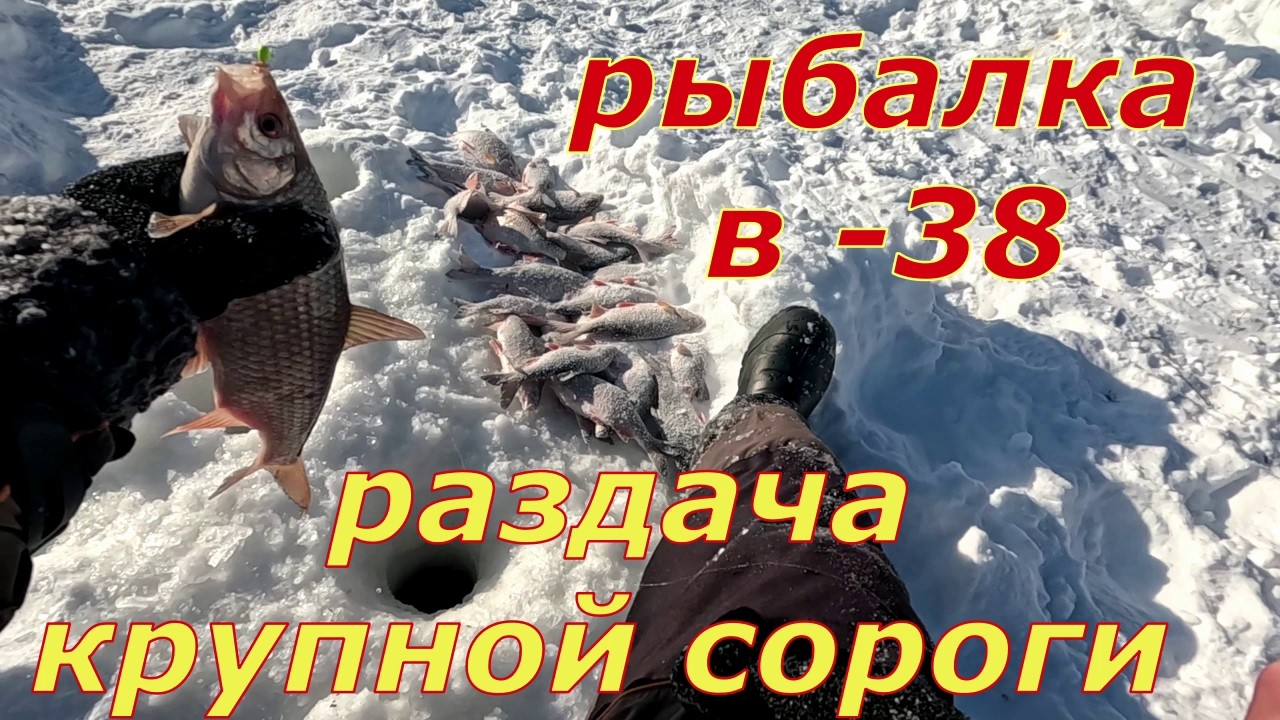 Дикий клёв в -38. Они отрывают мормышки и воруют удочки.