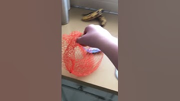 throwing old mandarin oranges into a sink disposal