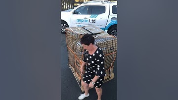 Installation - Pallet Containment Nets at Maxpack