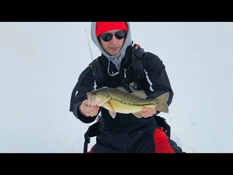 Golf course Bass fishing