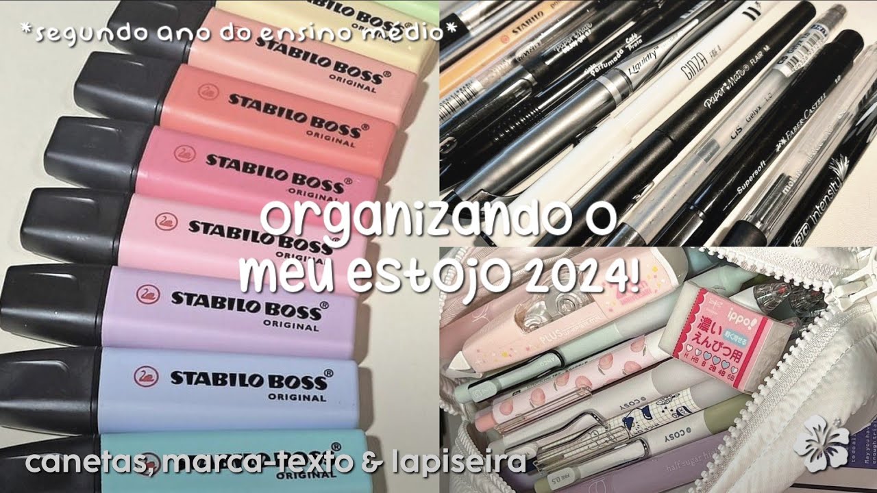 organizando meu estojo 2024!