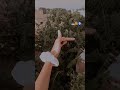sawan aaya h 🥺🙈🧿#lyrics_whatsapp #love #reverbedition #lyricvideo #song #lyrics_whatsapp_status