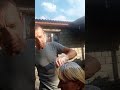 Крашу волосы жене #жена #муж #семья #топ #рек #виталикинаташа