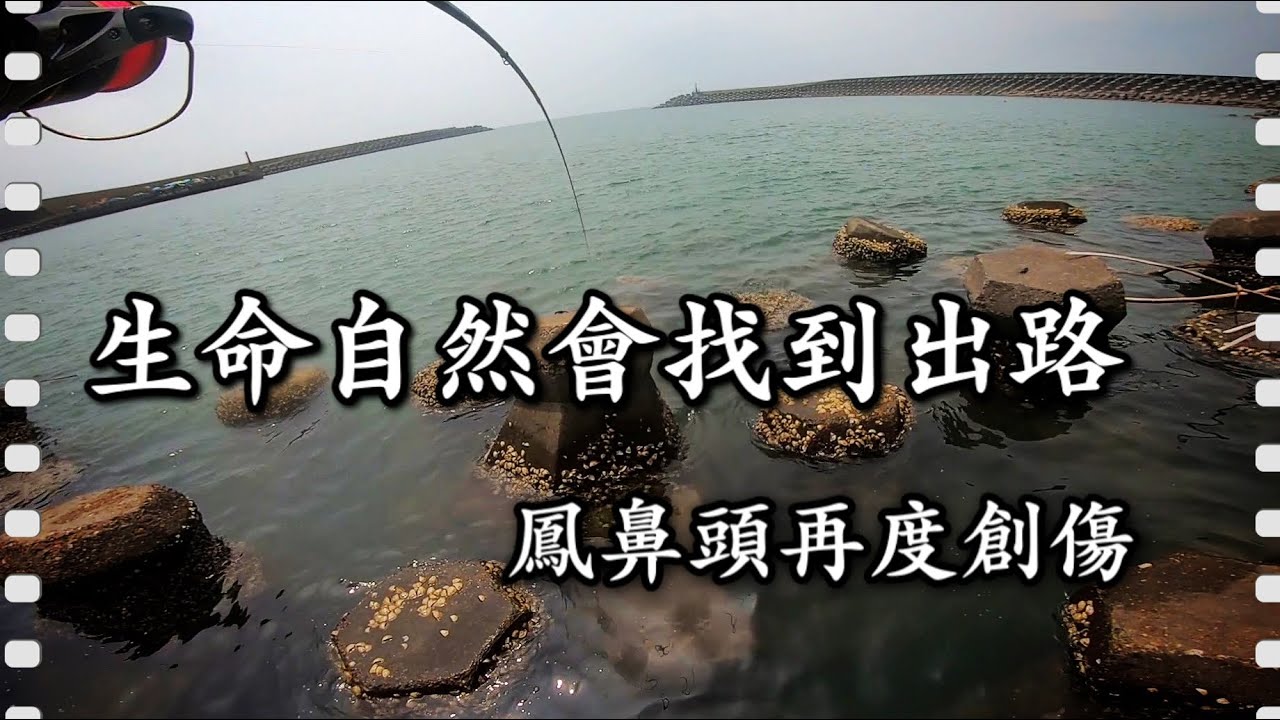 生命果然會找到出路，鳳鼻頭再度創傷篇［磯釣］