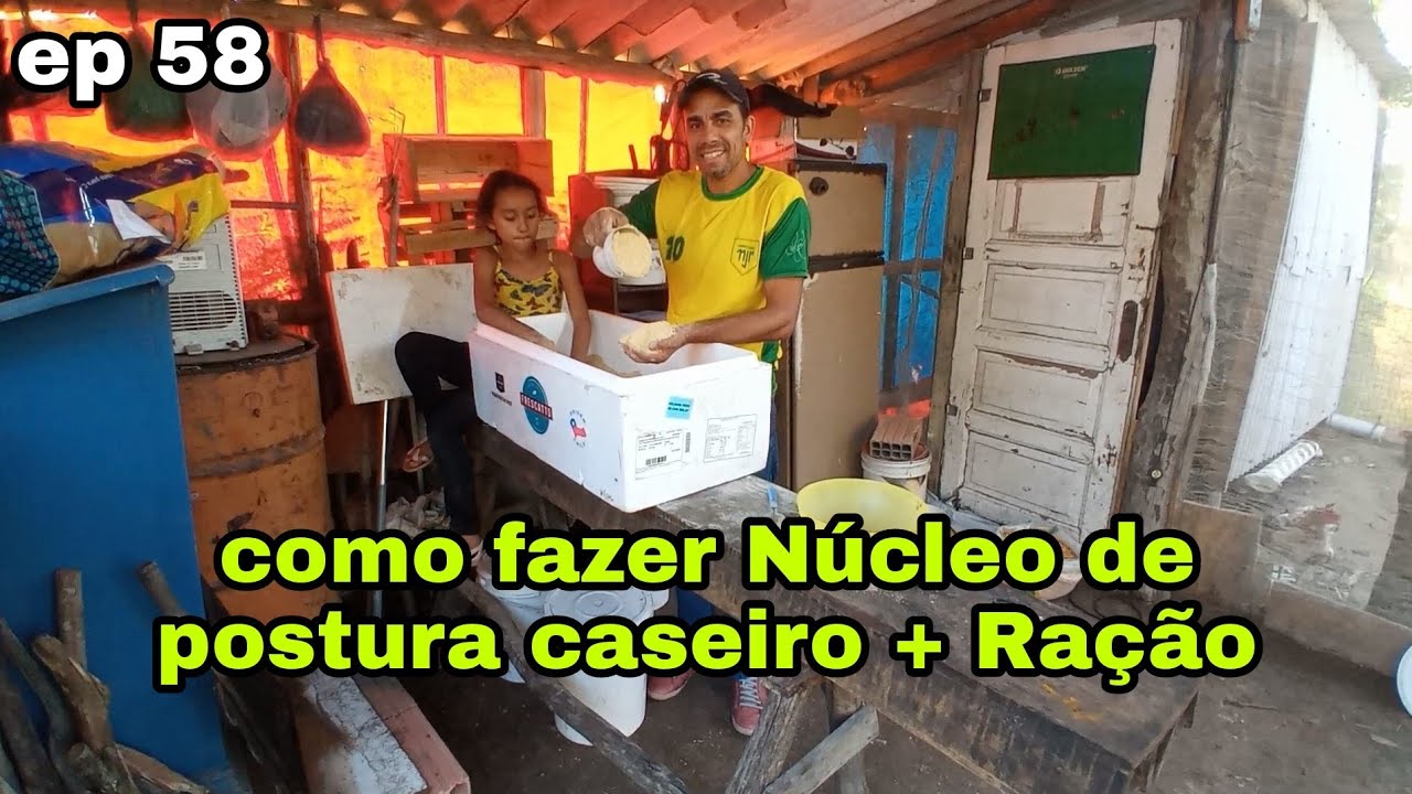 ep 58 Como fazer núcleo de postura caseiro + ração poedeira .