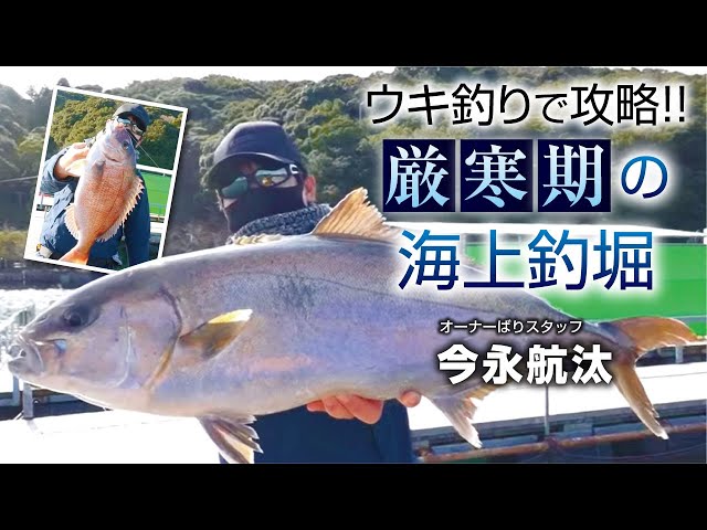 ウキ釣りで攻略！厳寒期の海上釣堀 - YouTube