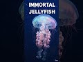 This Jellyfish Refuses to Die