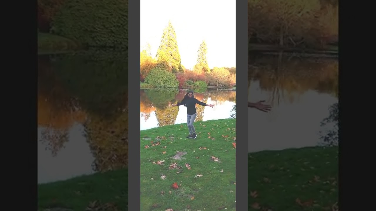 Autumn 🍁🍁🍁@Uk Sheffield park garden 