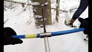 SM 314 Field Botany: Coring a tree, K. Meehan POV