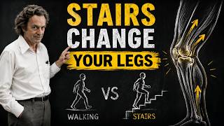 Why Stairs Transform Your Legs & Knees Faster Than Walking After 60