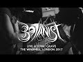 Botanist  live at sonic grave london 2017