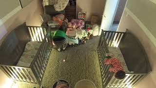 Mom puts her little girl in crib then turns around and she immediately climbs out