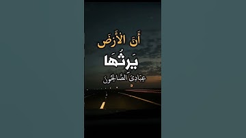 وَلَقَدْ كَتَبْنَا فِي الزَّبُورِ مِن بَعْدِ الذِّكْرِ #قرآن #quran #تلاوات #اسلام_صبحي #قران