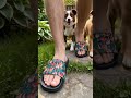 Custom Photo Funny Face Hawaii Gift - Personalized Unisex Slides #wanderprints #personalized #gifts