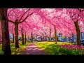 تعافي الجهاز العصبي 🌸 الموسيقى الهادئة تهدئ الجهاز العصبي وتسعد الروح #31