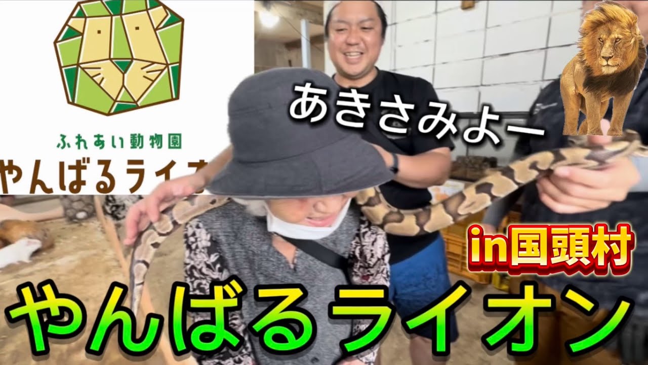 【沖縄動物園】新名所！地元国頭村にできた動物園やんばるライオンに行ってきた！