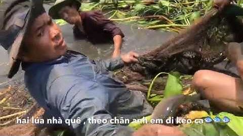 lưới cá và kết quả bất ngờ ,fish net,,, hai lúa nhà quê,;# 06