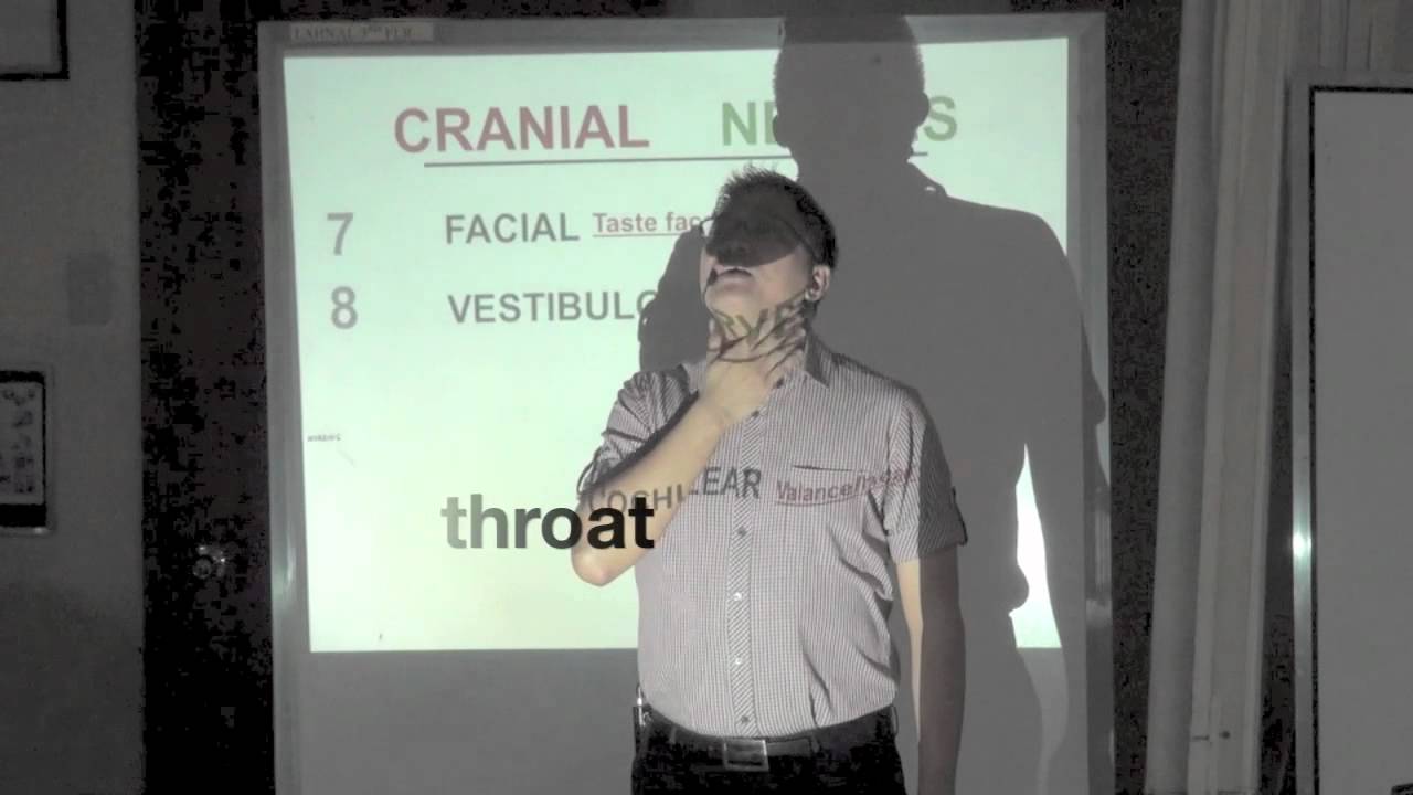 Nursing Review Michael U Jimenez Anatomy Physiology Cranial Nerves Simplified Easy