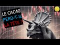 Trading CAC40 (-0.40%): le CAC a-t-il perdu la tête?