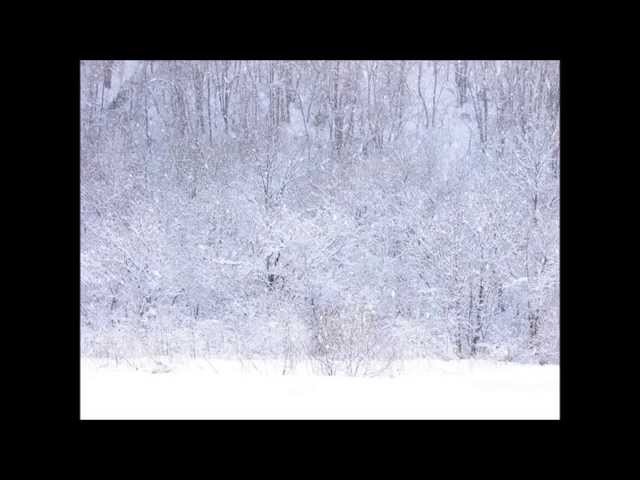 「これで落ち着け!」冷たく、激しい風の音 Sound of Nature