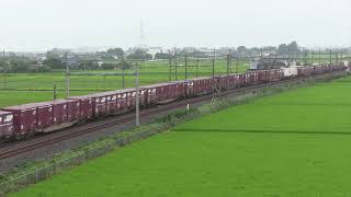 EF65-2139＋空コキ8両 JR東北線 東鷲宮～栗橋【貨物列車のすれ違い】