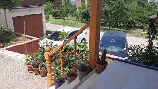 Yaz Bahçesi Temiz Hava Çe