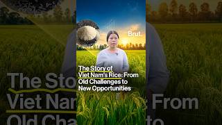 The Story of Viet Nam’s Rice: From Old Challenges to New Opportunities