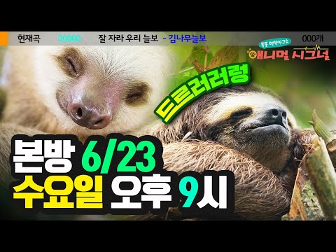 (본방 6/<strong>23</strong> 수 밤 9시) [<strong>애니멀</strong> 시그널] / YTN 사이언스