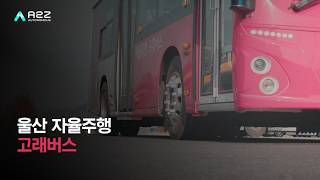 [오토노머스에이투지x울산] 울산을 달리는 자율주행 고래버스