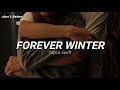 forever winter - taylor swift (taylor's version) [TRADUÇÃO/LEGENDADO]