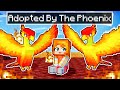 Adopted by the PHOENIX in Minecraft!