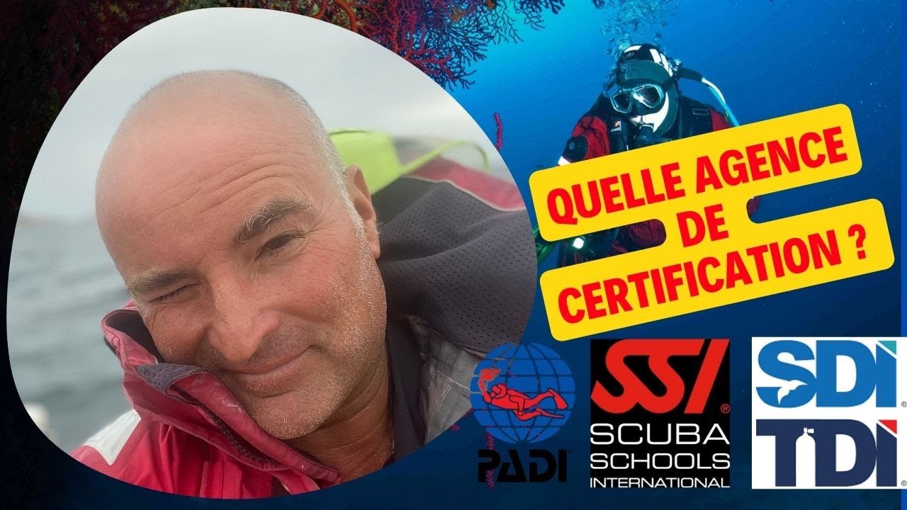 Padi, Ssi, Sdi : quelle agence choisir en 