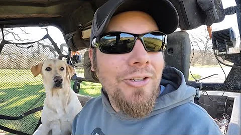 Herd Update and Searching for Cows That Might Not ...