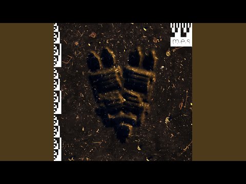 在 YouTube 上觀看「Shell」 在 YouTube 上觀看「Shell」