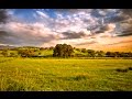 Cat Trumpet - I Can Not Leave (Relaxation Meditation Music)